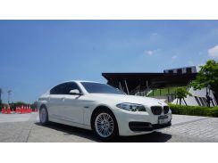 2014年 寶馬 BMW 520d 2.0L