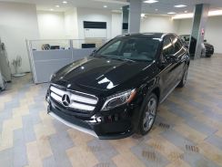 2016年 賓士 BENZ GLA250 2.0L